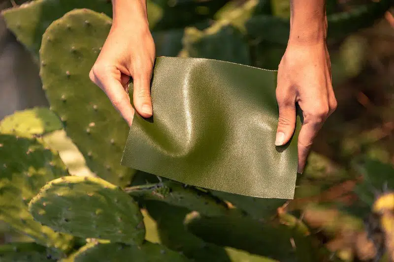 Top 10 Fascinating Inventions You Didn’t Know Existed - Plant leather